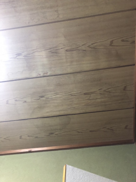 雨で濡れた天井