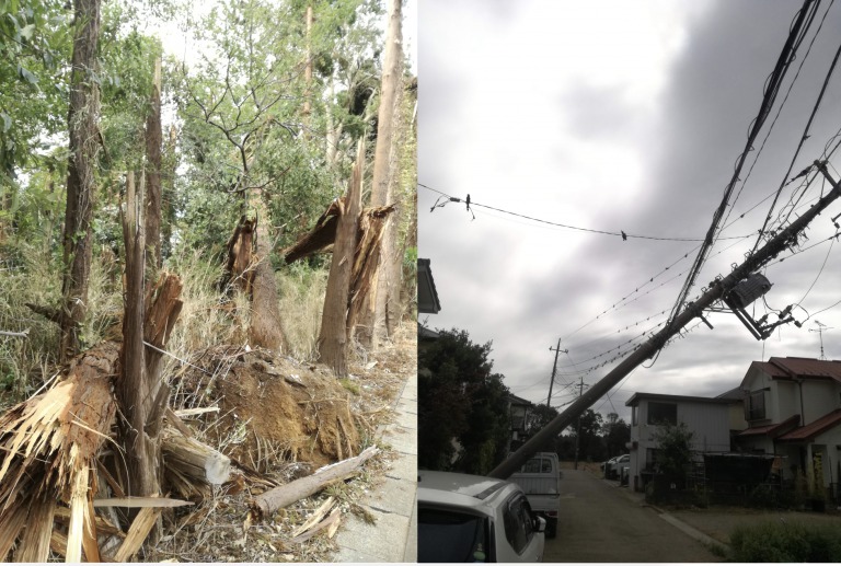 台風15号の被害