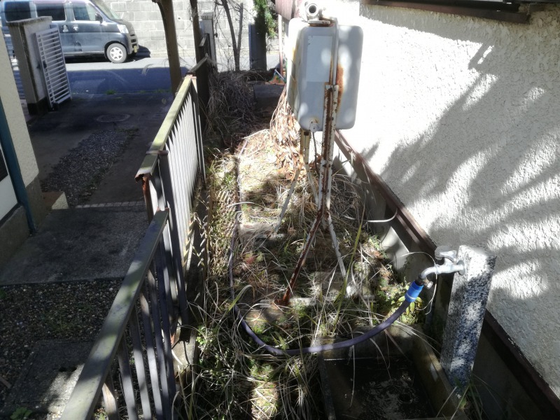 家の両サイドの庭