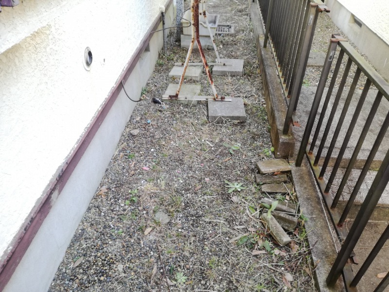 庭3（草刈り後）