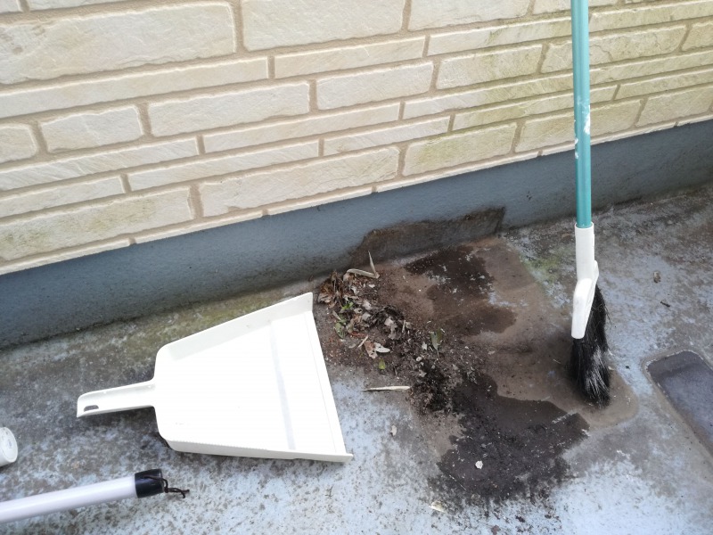 落ち葉とゴミの除去