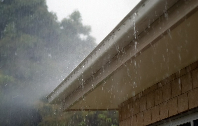 雨樋修理