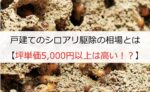 戸建てのシロアリ駆除の相場とは【坪単価5,000円以上は高い!?】