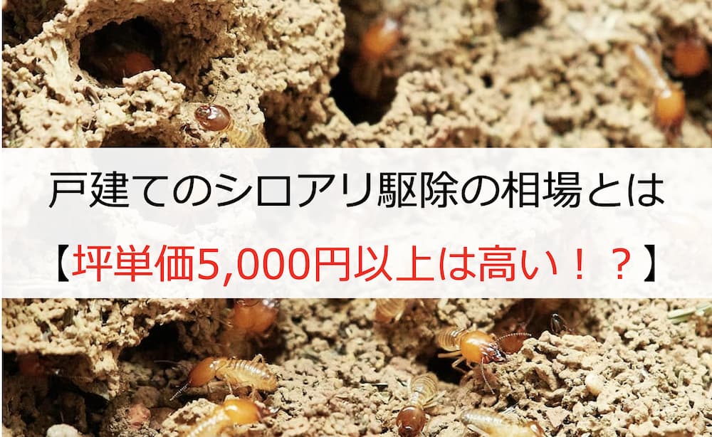 戸建てのシロアリ駆除の相場とは【坪単価5,000円以上は高い！？】