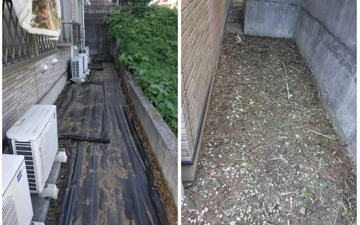 草むしり後の写真