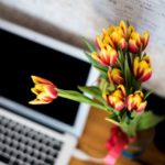 NURO公式キャンペーンのキャッシュバック注意点について