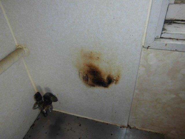 f:id:Pelican:20180614123741j:plain