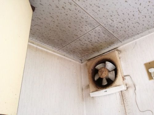 f:id:Pelican:20180713151721j:plain