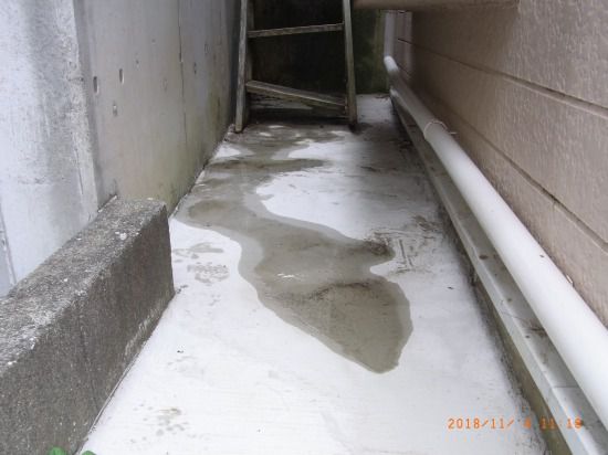 f:id:Pelican:20181223213720j:plain f:id:Pelican:20181223213720j:plain